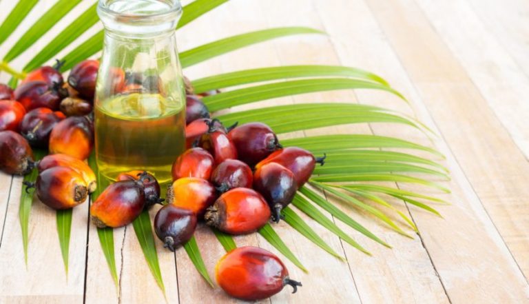 Crude Palm Oil  Best Coconut Oil  Deals In Pakistan 